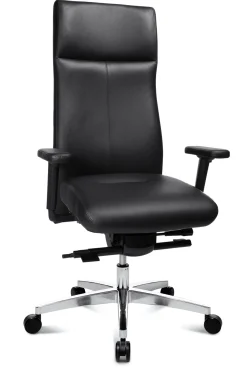 Bürostuhl, Sitness Director 900
