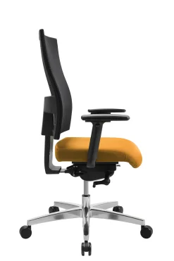 Bürostuhl, Sitness Profi 200