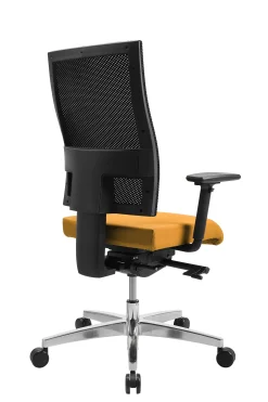 Bürostuhl, Sitness Profi 200