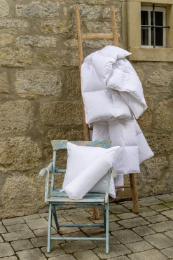 Kassettenbett, AMBIENTE Kassettenbett 4 x 6 / 2 cm Innensteg