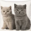 Kissenhülle, British Kitten