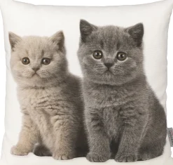 Kissenhülle, British Kitten