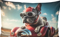 Kissenhülle, Racing Bulldog