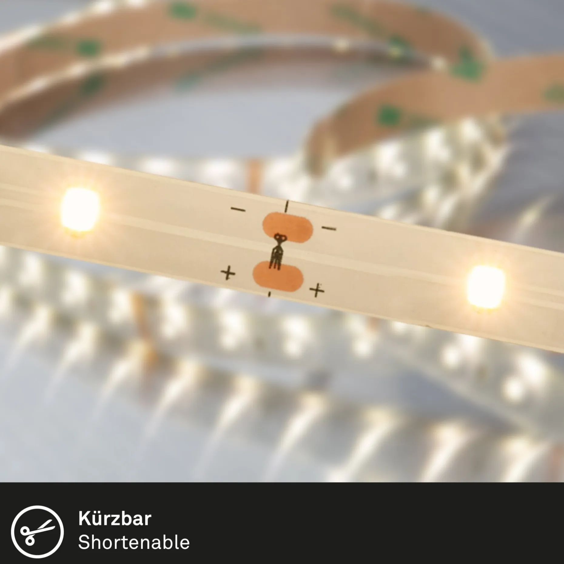 LED Band, Varma