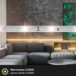 LED Band, Varma
