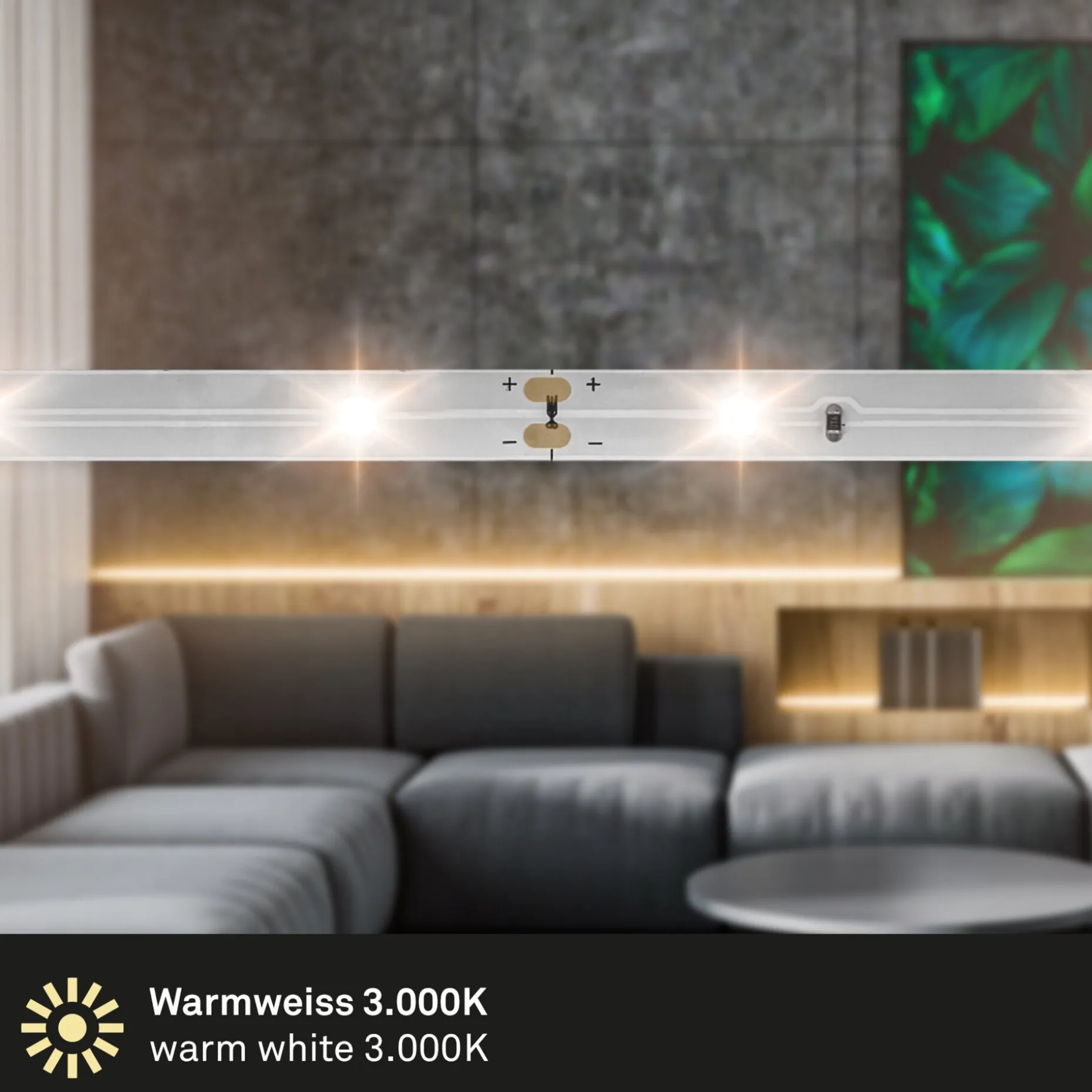 LED Band, Varma