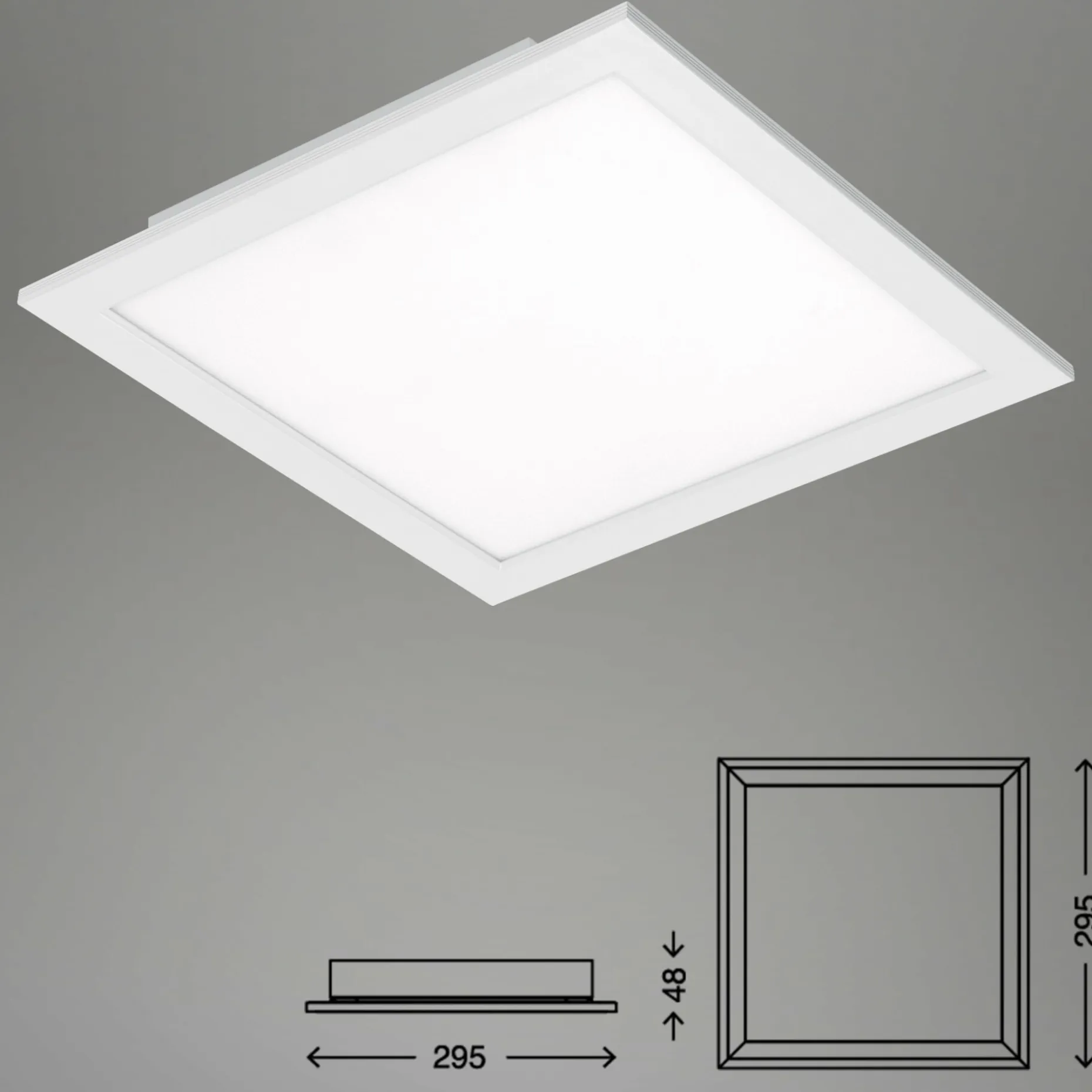 Panel, Piatto
