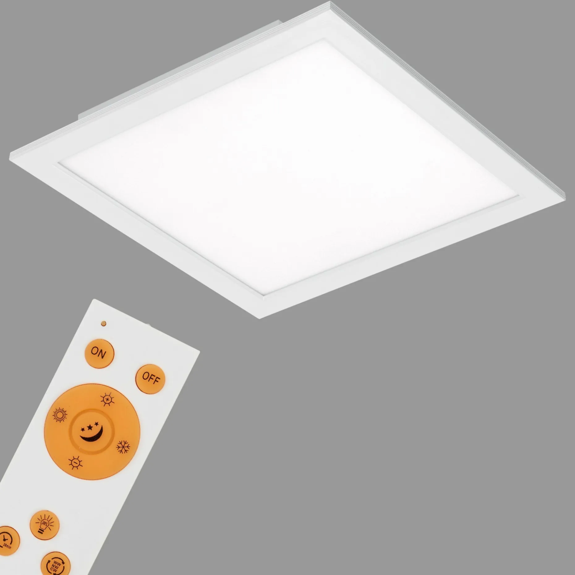 Panel, Piatto
