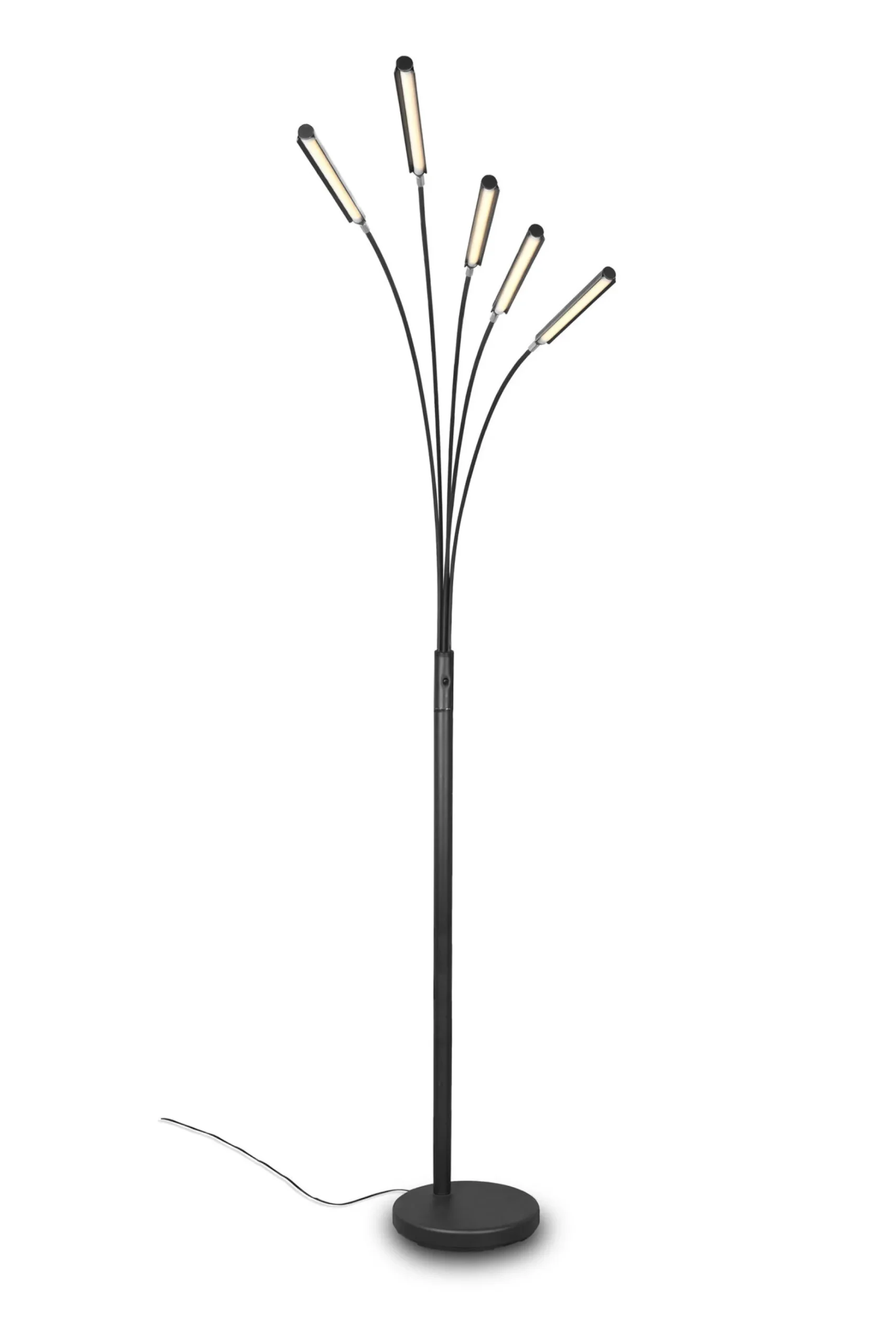 Stehleuchte, Reed