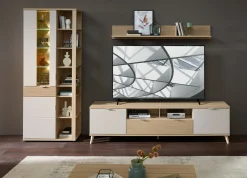 TV-/Wohnlösung, Basel-G