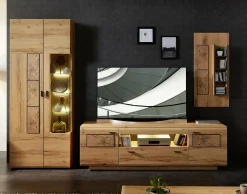 TV-/Wohnlösung, Bern
