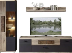 TV-/Wohnlösung, Sina