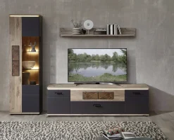 TV-/Wohnlösung, Sina