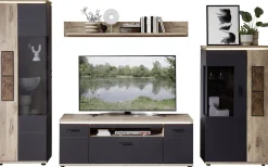 TV-/Wohnlösung, Sina