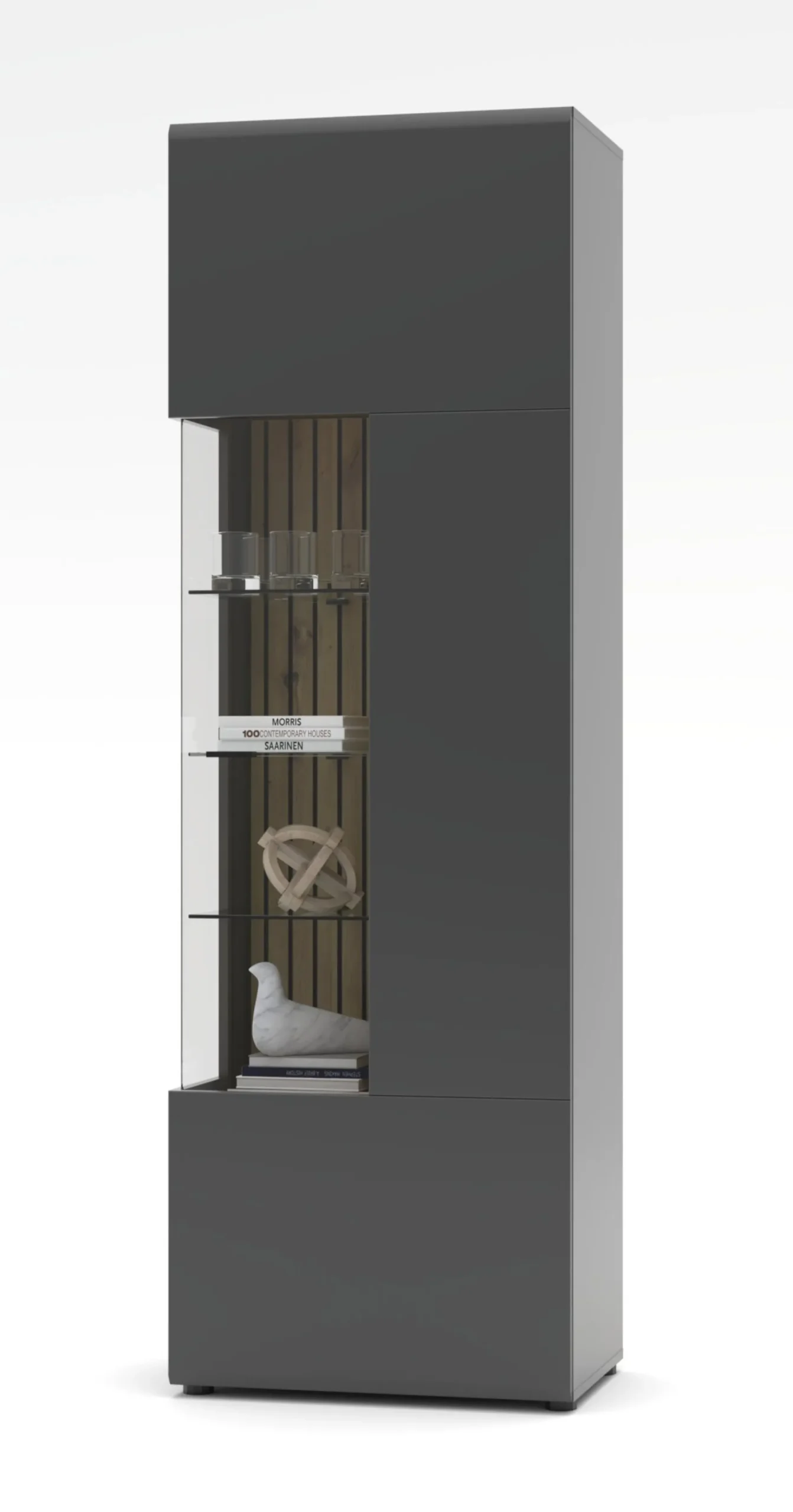 Vitrine, Evo