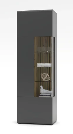 Vitrine, Evo