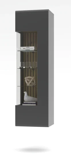 Vitrine, Evo
